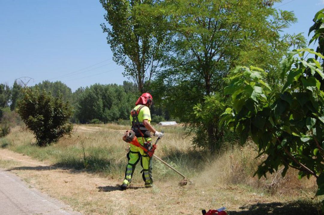 Se contratarán diez cuadrillas