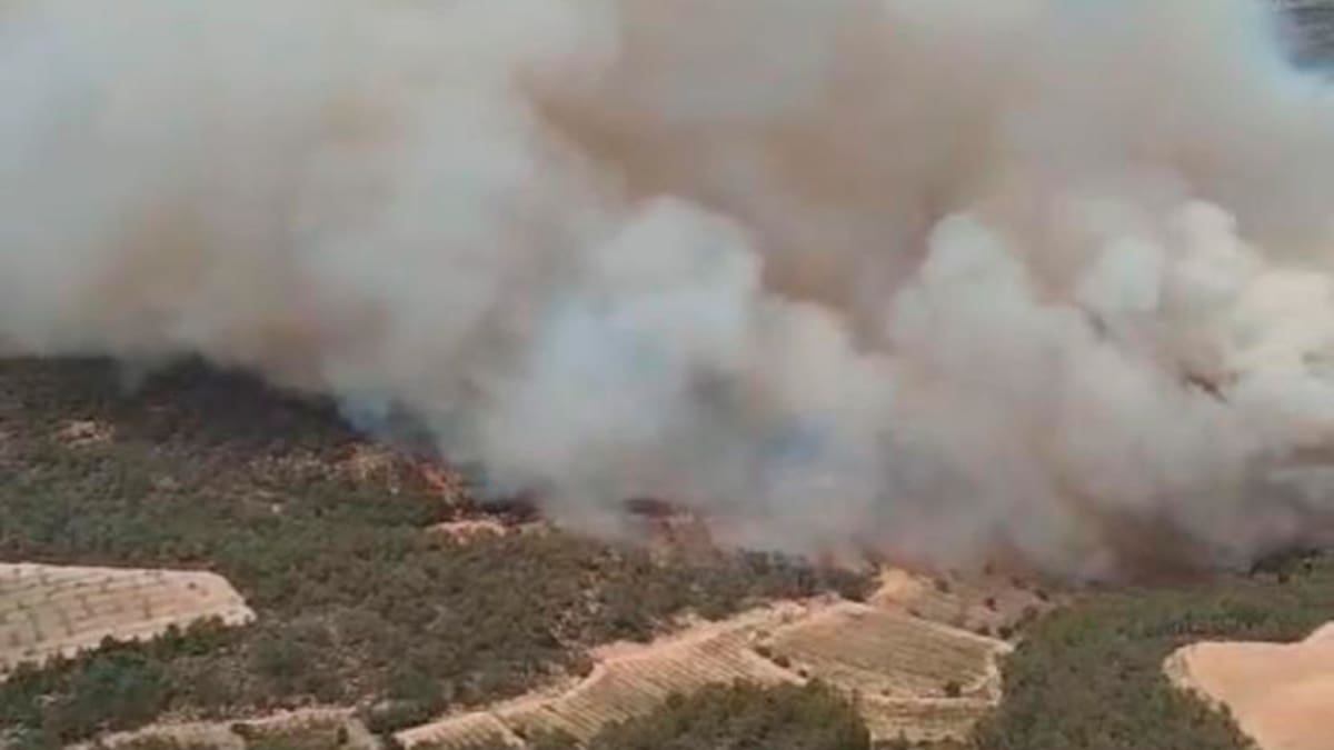 Aragón, vulnerable a los incendios por sus grandes bosques densos y "poco atendidos"