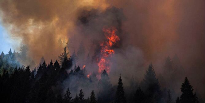 El fuego ya ha arrasado más de 50.000 hectáreas