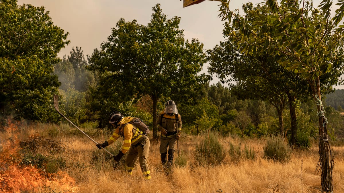 Reportaje sobre la ola de incendios en Galicia: "Son como poner una tapa a una olla"