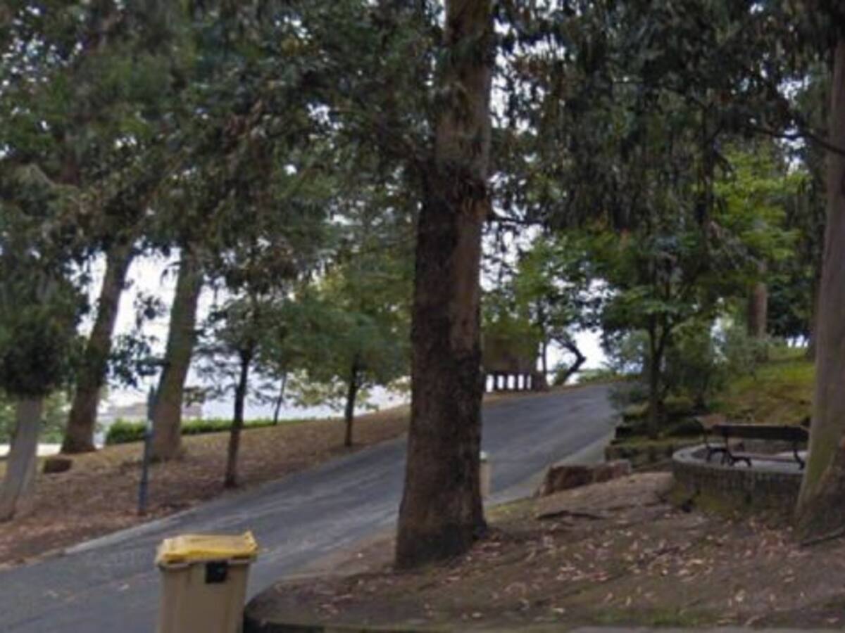 El viento derriba árboles y ramas en A Coruña