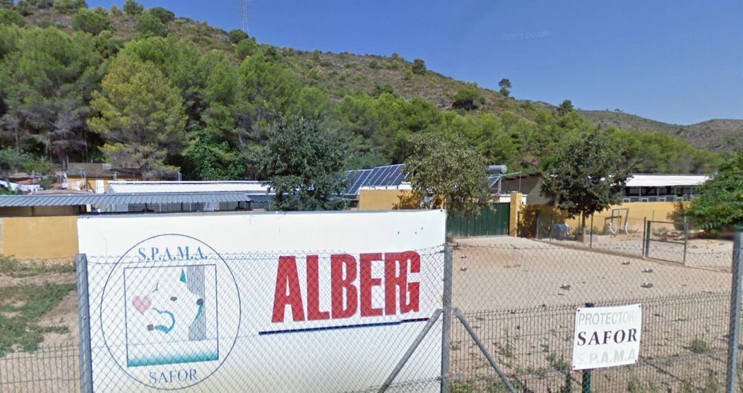 Albergue para animales de Spama en Gandia. 