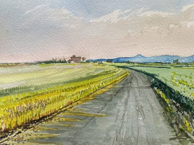 Una de las acuarelas que Fernando Alvira vende a beneficio del Banco de Alimentos