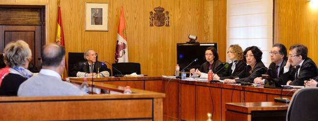 Las acusaciones publica, particular y populares, y las defensas (d), exponen sus conclusiones finales ante el jurado popular (i) que deliberará sobre la culpabilidad de los acusados del crimen, violación y maltrato de la niña de 4 años Sara, unos hechos por los que se sientan en el banquillo la madre de la menor y su pareja sentimental