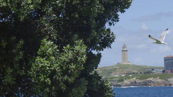 Coruña al Natural, con el Grupo Naturalista Hábitat (09/12/2021)