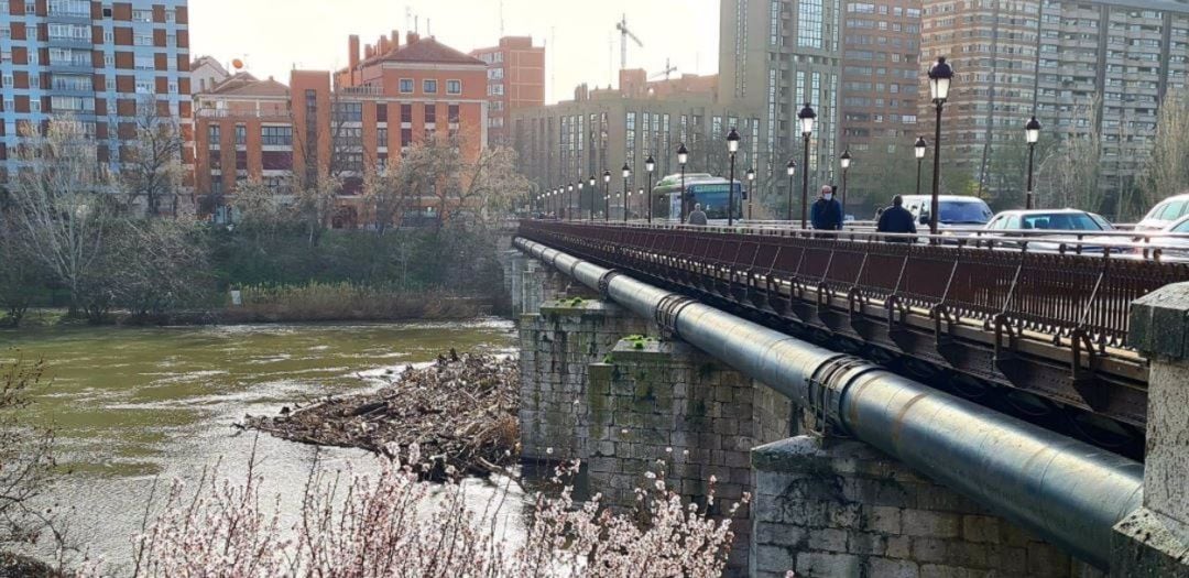 Troncos acumulados en el Puente Mayor