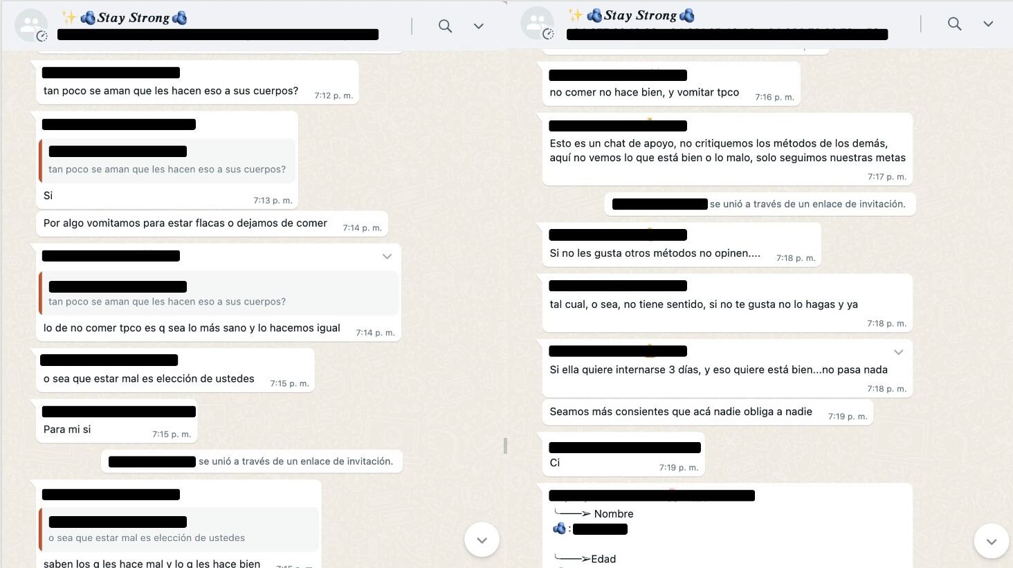 Fragmentos de chats de WhatsApp en los que se hace apología de los TCA