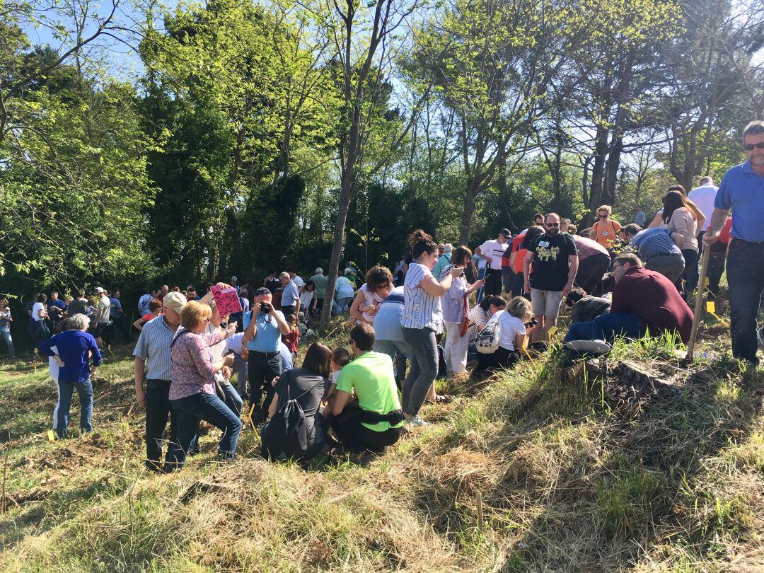 Jornada de plantación de árboles en una jornada pasada del Zuhaitz Eguna.