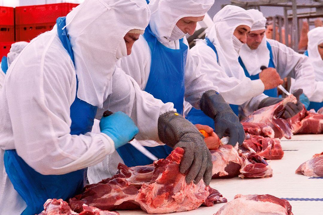 Treballadors a l&#039;interior de les instal·lacions de Càrniques Celrà