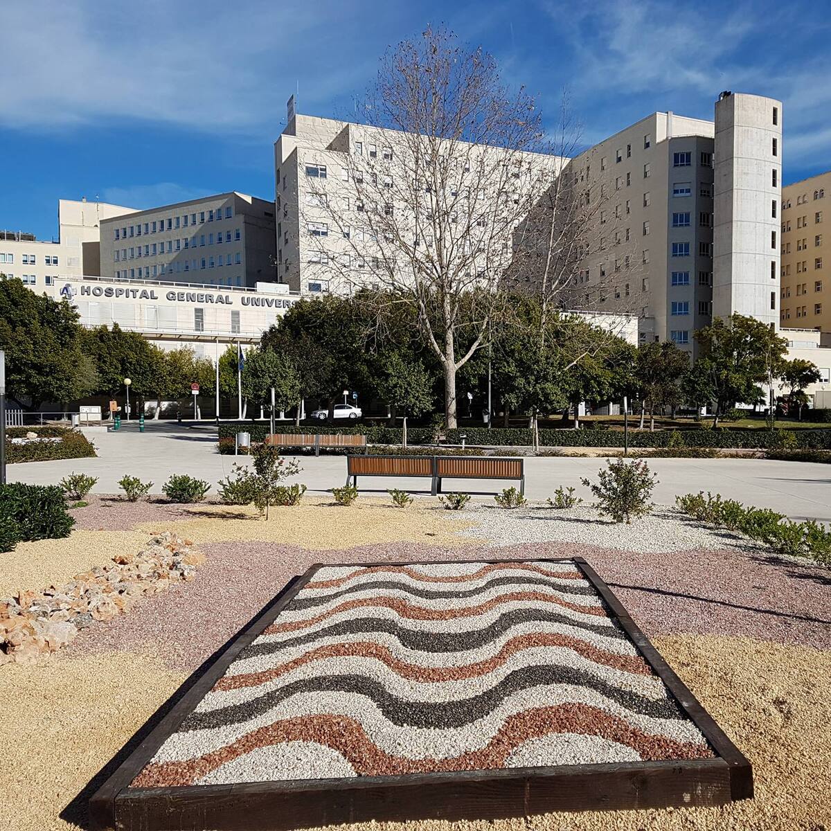 El Hospital General de Alicante coordina el mayor estudio internacional sobre la pancreatitis