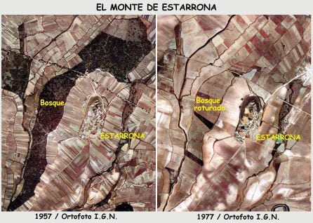 El monte Estarrona 1957 y 1977