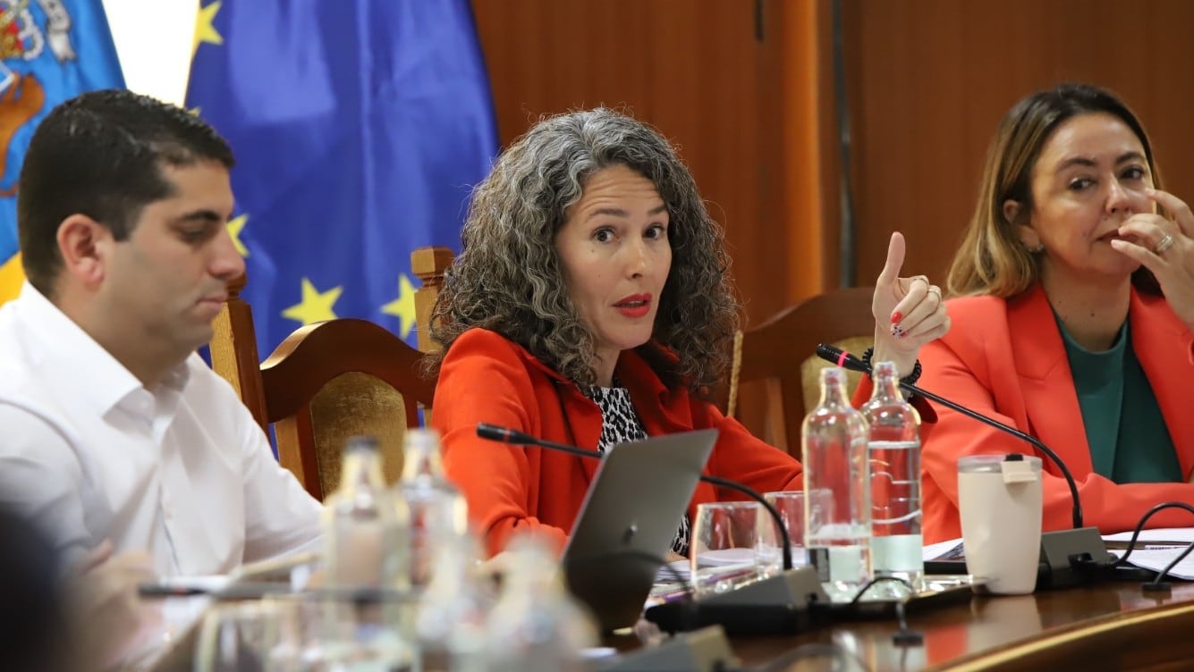 Ariagona González, portavoz del PSOE en el Cabildo de Lanzarote.