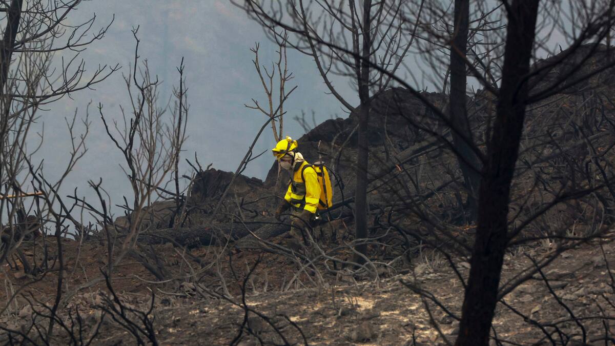 El mensaje de los vecinos de Monsagro a Mañueco: ''Acabamos de tener un fuego en la Sierra de la Culebra; tiene que haber cuadrillas todo el año''