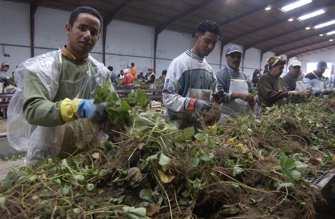 Trabajadores inmigrantes desempeñando tareas en una empresa segoviana