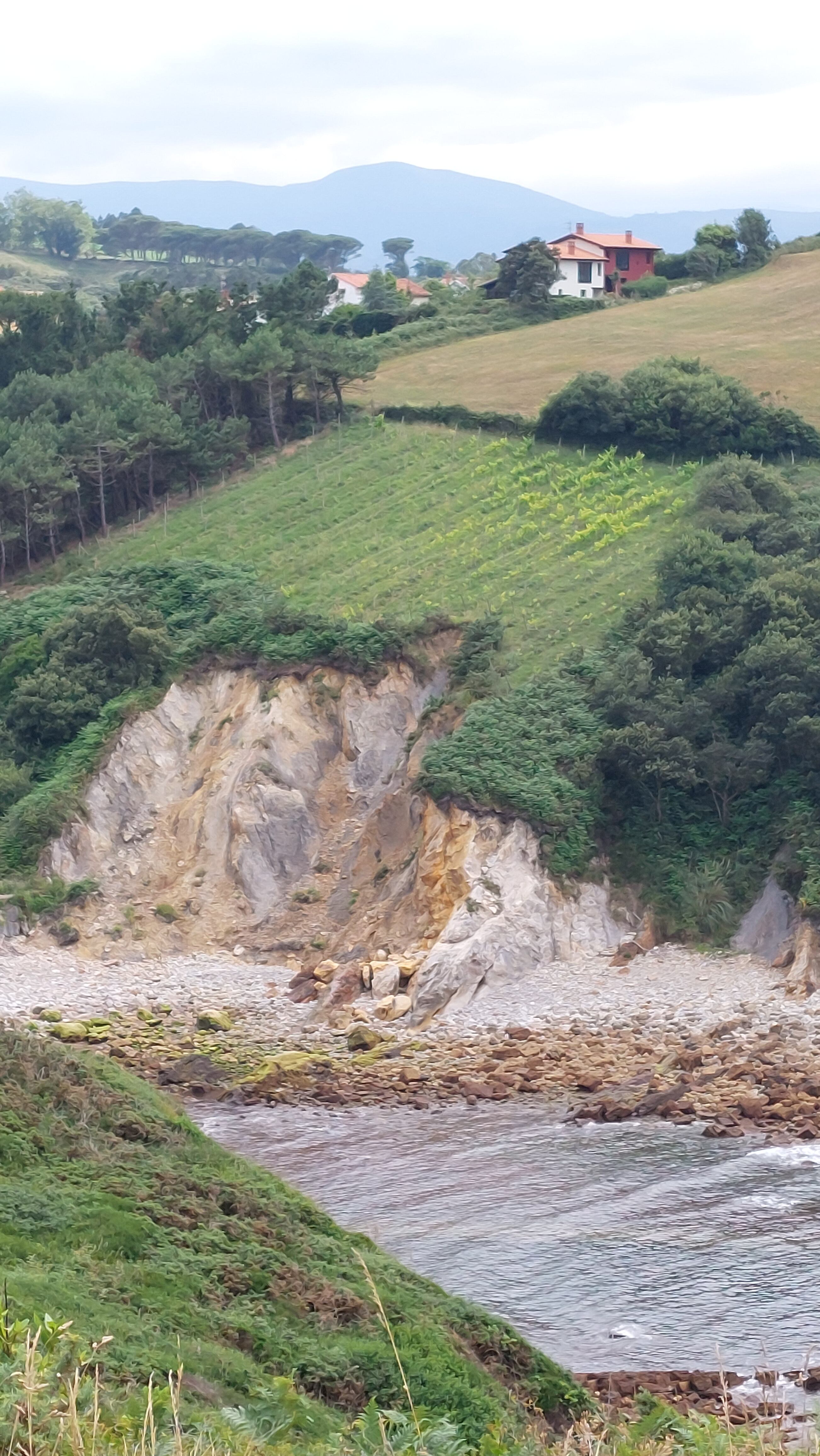 Viñedo Miradorio sobre acantilado