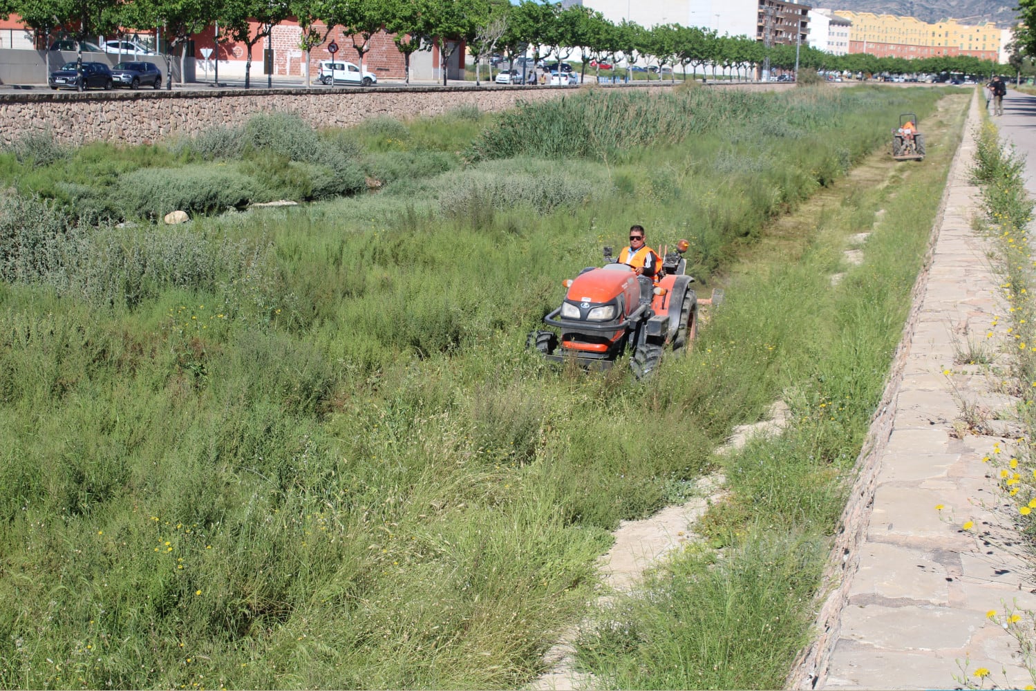 Trabajos de limpieza y desbroce controlado de los márgenes del río Vinalopó a su paso por el casco urbano