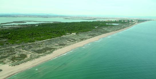 Imagen aérea de la playa de El Saler, Valencia