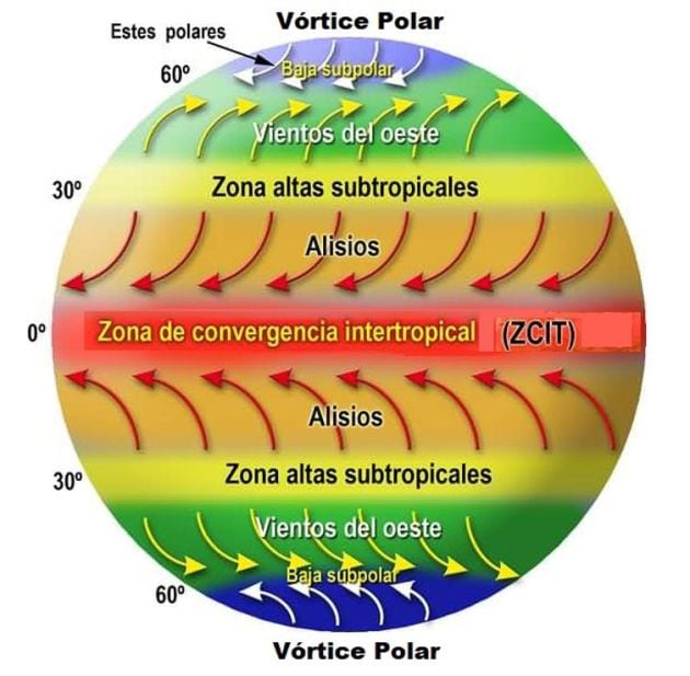 Figura 1. Esquema de presión y viento en superficie sin océanos ni continentes. En el ecuador hay una zona continua de bajas presiones conocida como vaguada ecuatorial o zona de convergencia intertropical. Por encima de esta vaguada, entre los 25⁰ y los 35⁰ N y S, se encuentran sendos cinturones subtropicales de alta presión. Por encima de ellos, entre los y 45⁰ y los 60⁰, se encuentran las cinturas de bajas presiones conocidas como zonas de bajas polares de bajas presiones. Los casquetes polares son zonas permanentes de altas presiones conocidas como zonas de máximas polares o vórtices, mucho más desarrolladas en el sur como consecuencia de las mayores acumulaciones de hielo en la Antártida.