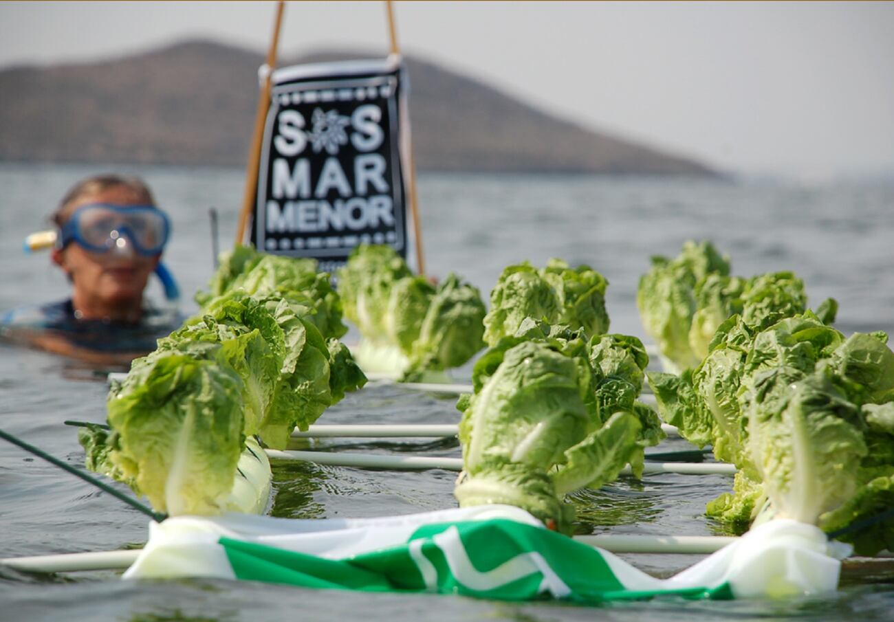 Ecologistas en Acción advierte de los peligros de la agroindustria para el Mar Menor