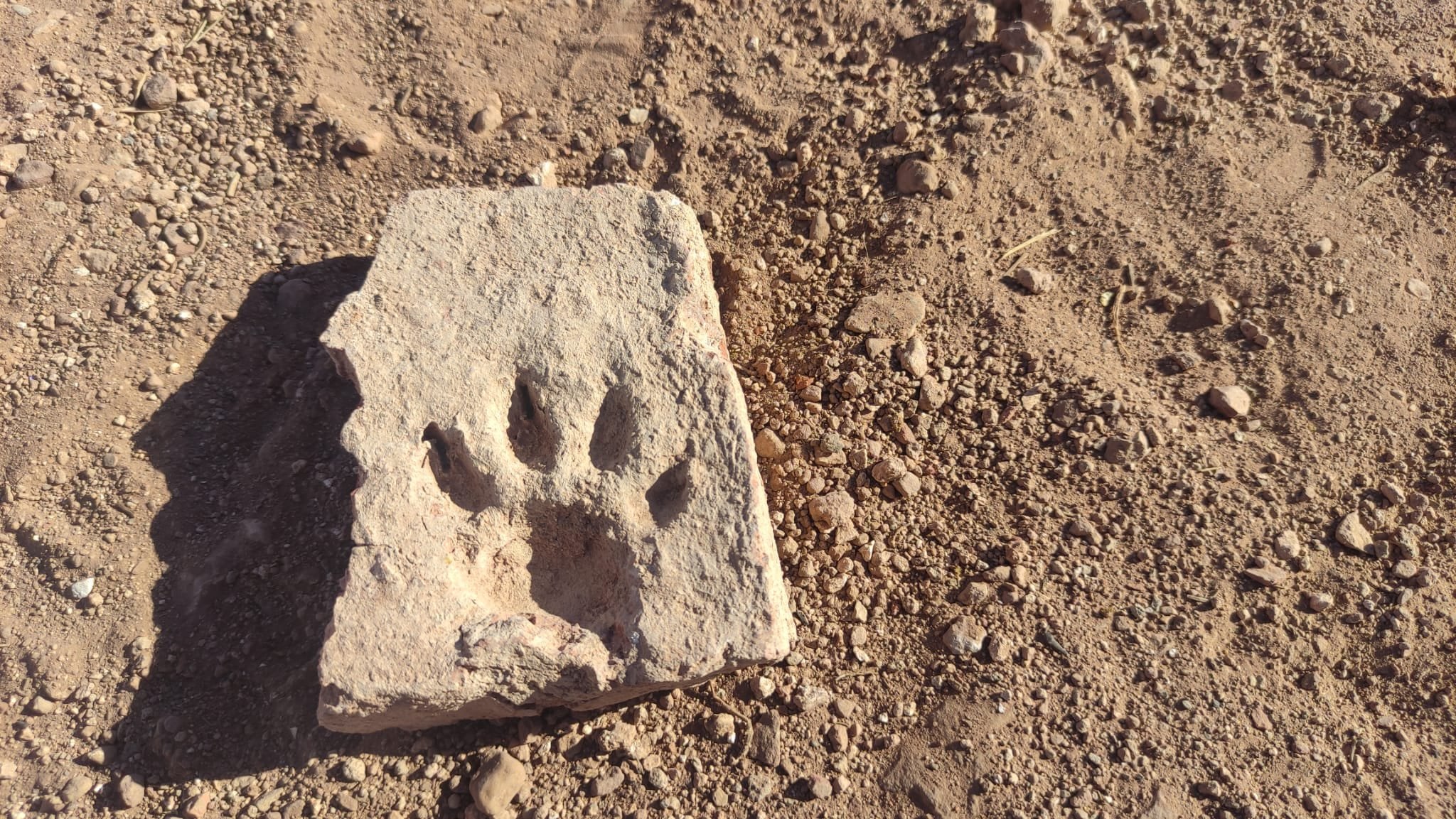 Imagen de una huella de perro en una roca, localizada en el Castillo de Montiel (Ciudad Real)