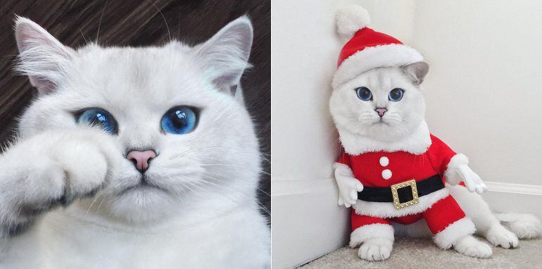 Imagenes de Coby en su perfil de Instagram