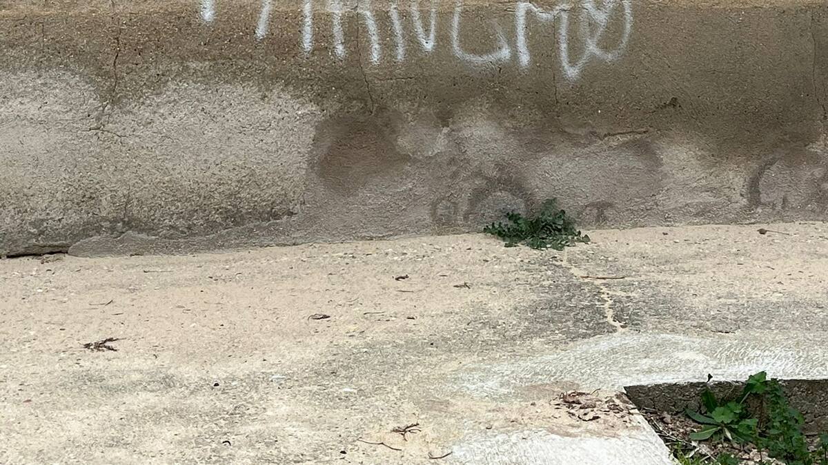 Ha asegurado que nada va a detener su propósito de seguir trabajando por Carpio de Tajo