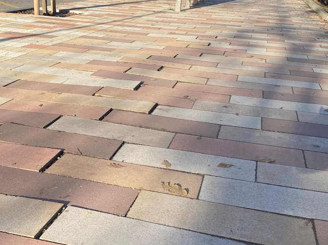 Baldosas levantadas en Cardenal González de Mendoza