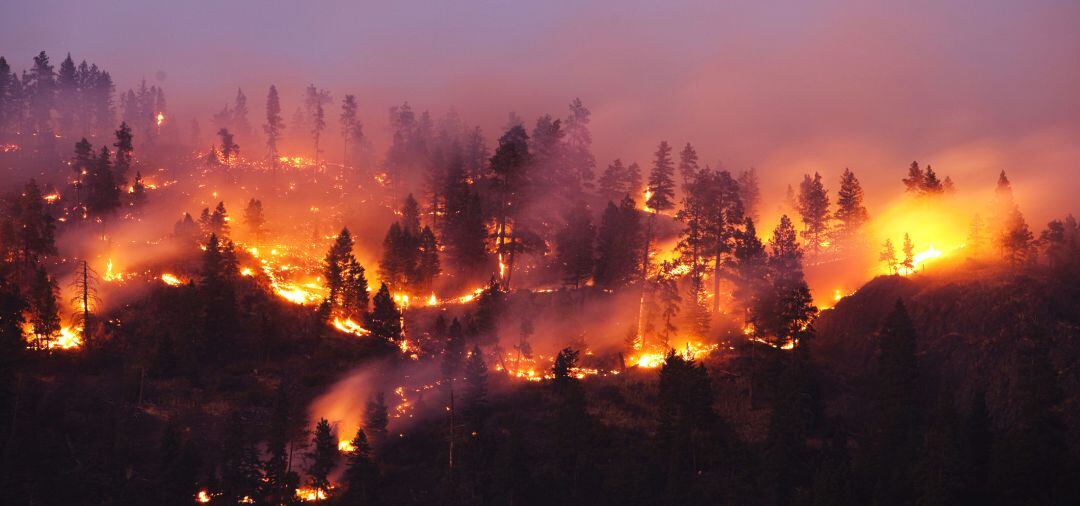 Imagen de archivo de un incendio forestal