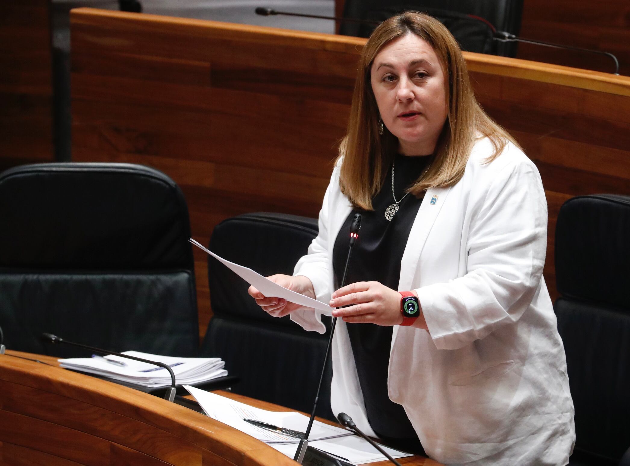 La Consejera de Educación, Lydia Espina, durante una intervención el Pleno de La Junta General del Principado