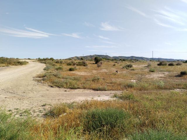 Tres yacimientos romanos de Totana serán reconocidos como bienes catalogados