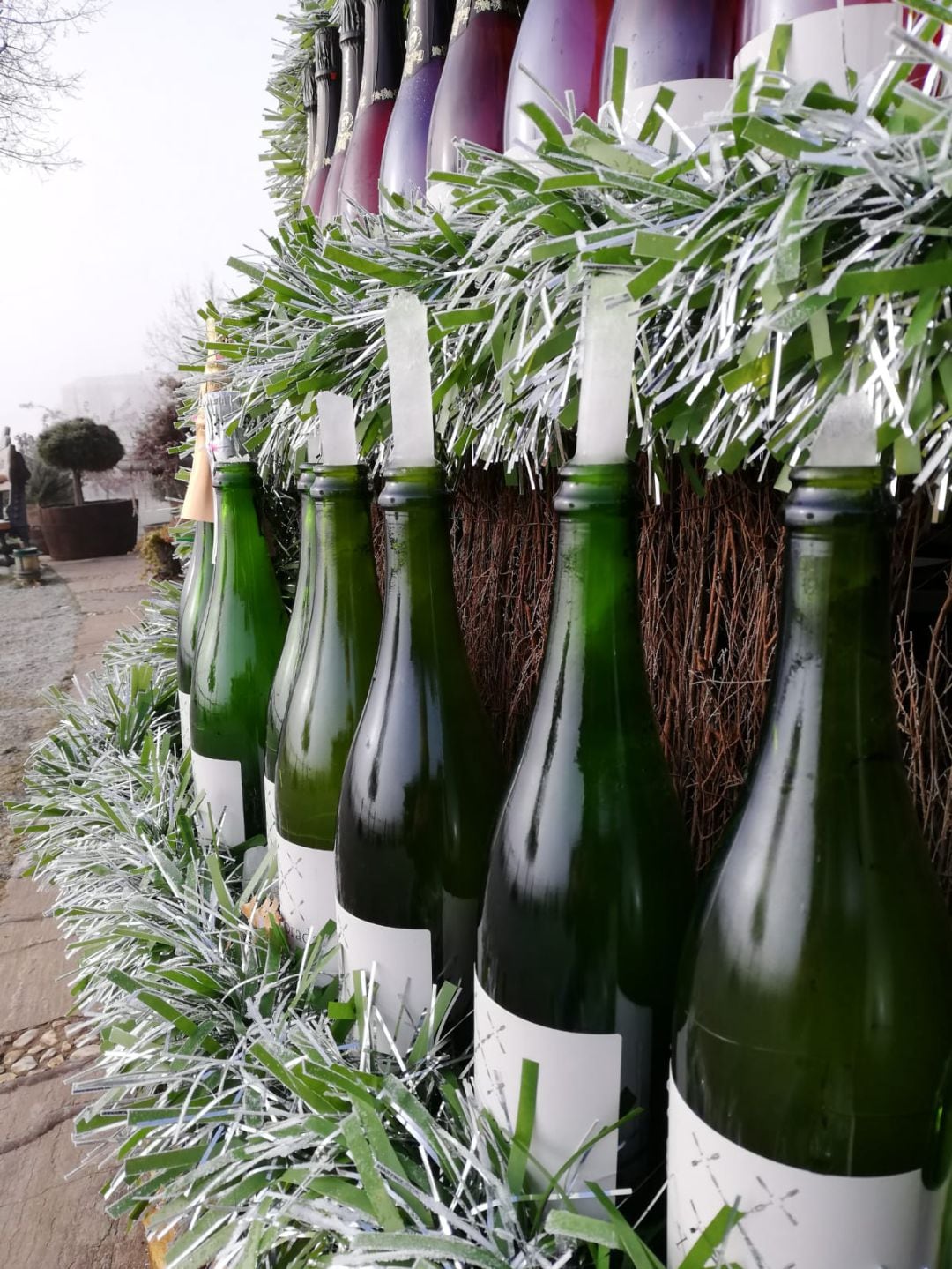 El frío descorcha las botellas del pino del Palacio de Canedo