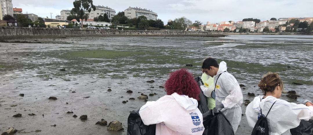 Limpieza de la ría de O Burgo