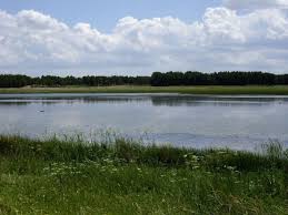 Lagunas de Cantalejo