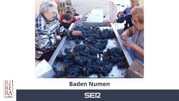 Baden Numen