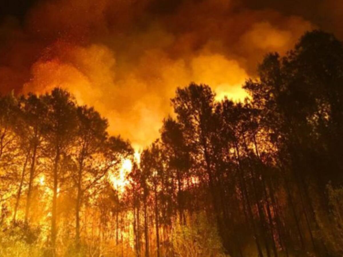 Este verano se han calcinado 6 hectáreas de terrenos forestales en la provincia