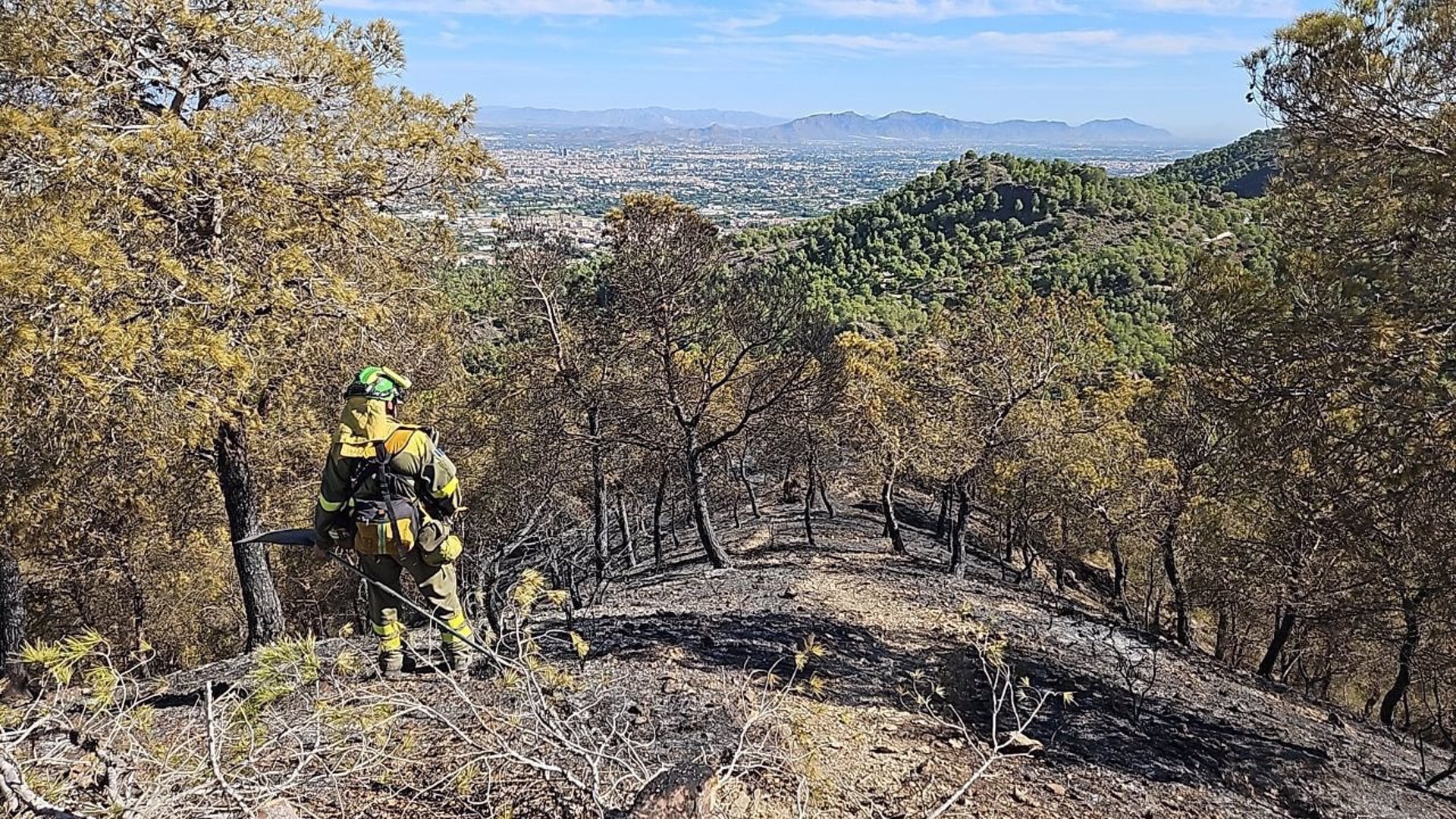 02/09/2023 Aspecto que tiene la zona afectada por el incendio del pasado 29 de agosto en El Valle Perdido.
ESPAÑA EUROPA MURCIA SOCIEDAD
CARM
