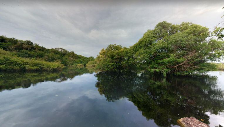 Imagen de la selva amazónica.