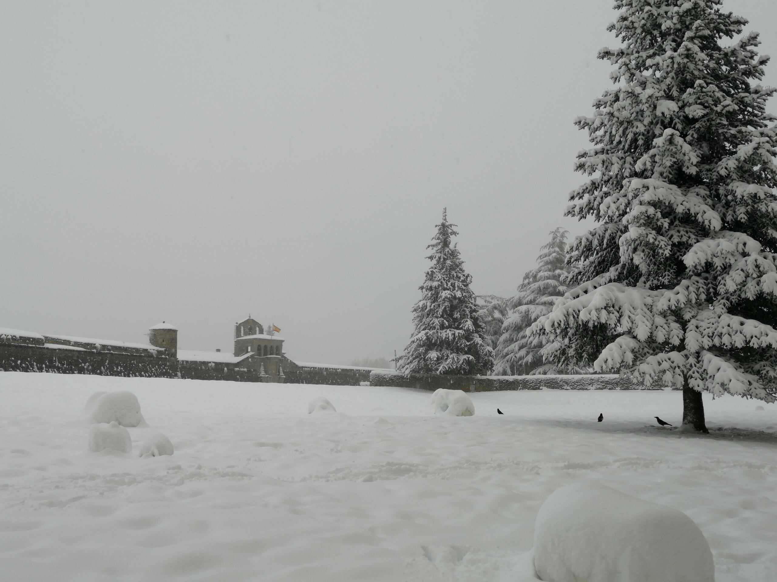 Jaca con nieve este 19 de enero