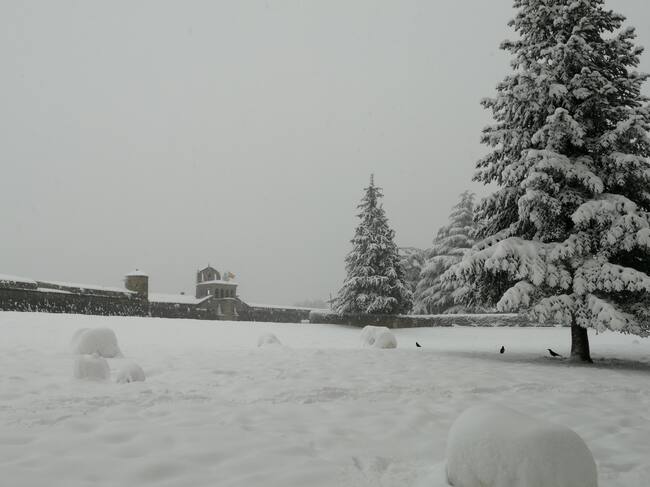 Jaca con nieve este 19 de enero