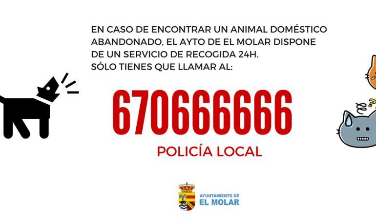 En el teléfono 670 666 666 Policía Local de El Molar atiende las 24 horas las llamadas sobre animales domésticos abandonados para su posterior recogida