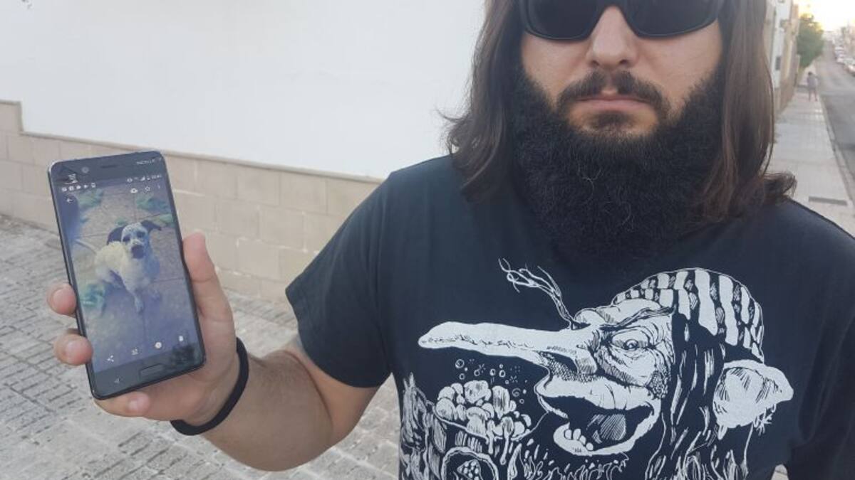 Denuncian la muerte de cuatro perros por posible envenenamiento