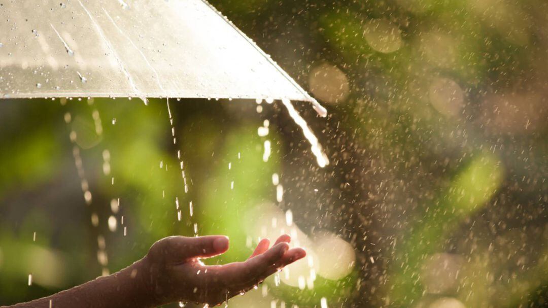 Ha plogut molt durant el que portem de novembre.