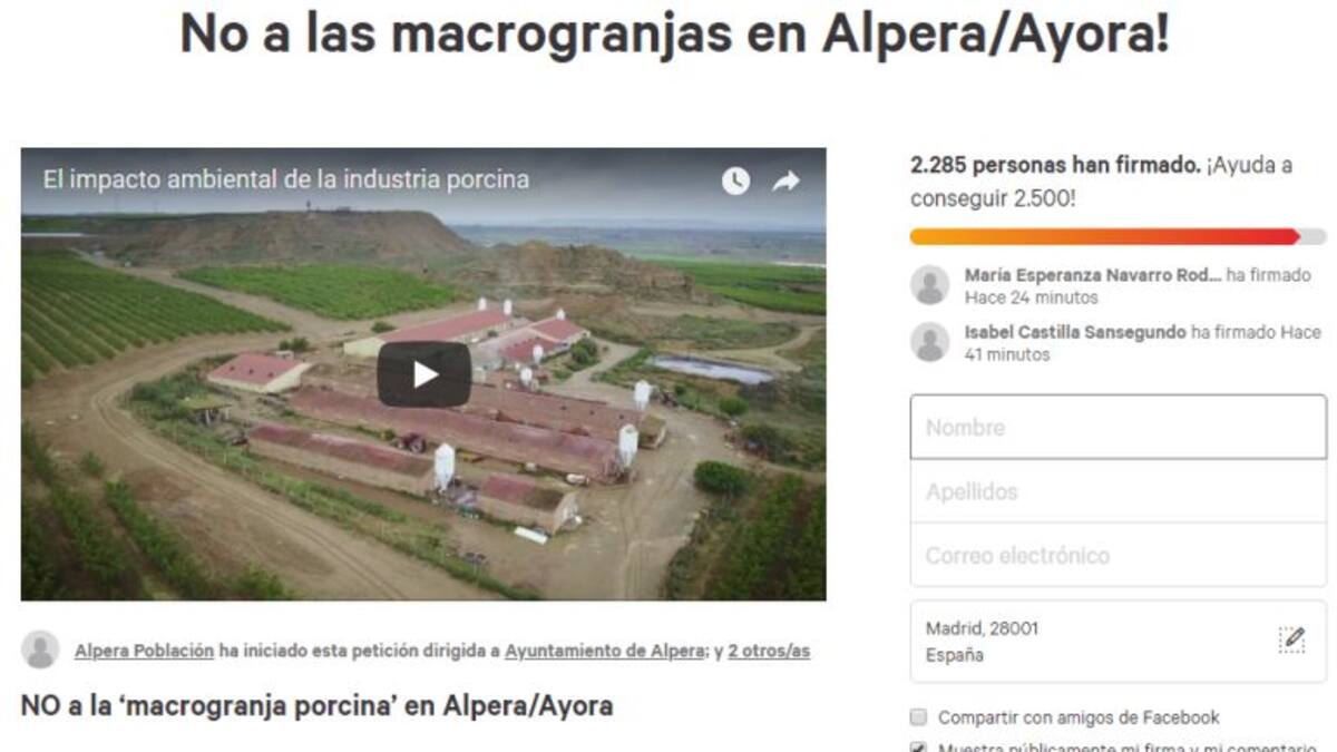 Alpera recoge firmas contra la instalación de una macrogranja porcina