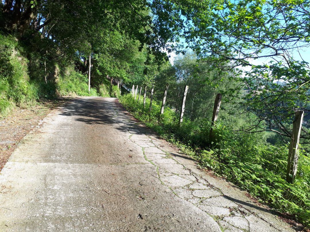 Un camino rural en la zona de Saratsuegi