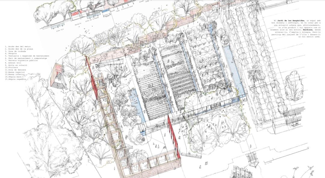 Proyecto ganador del concurso de ideas para el jardín Trini Simó