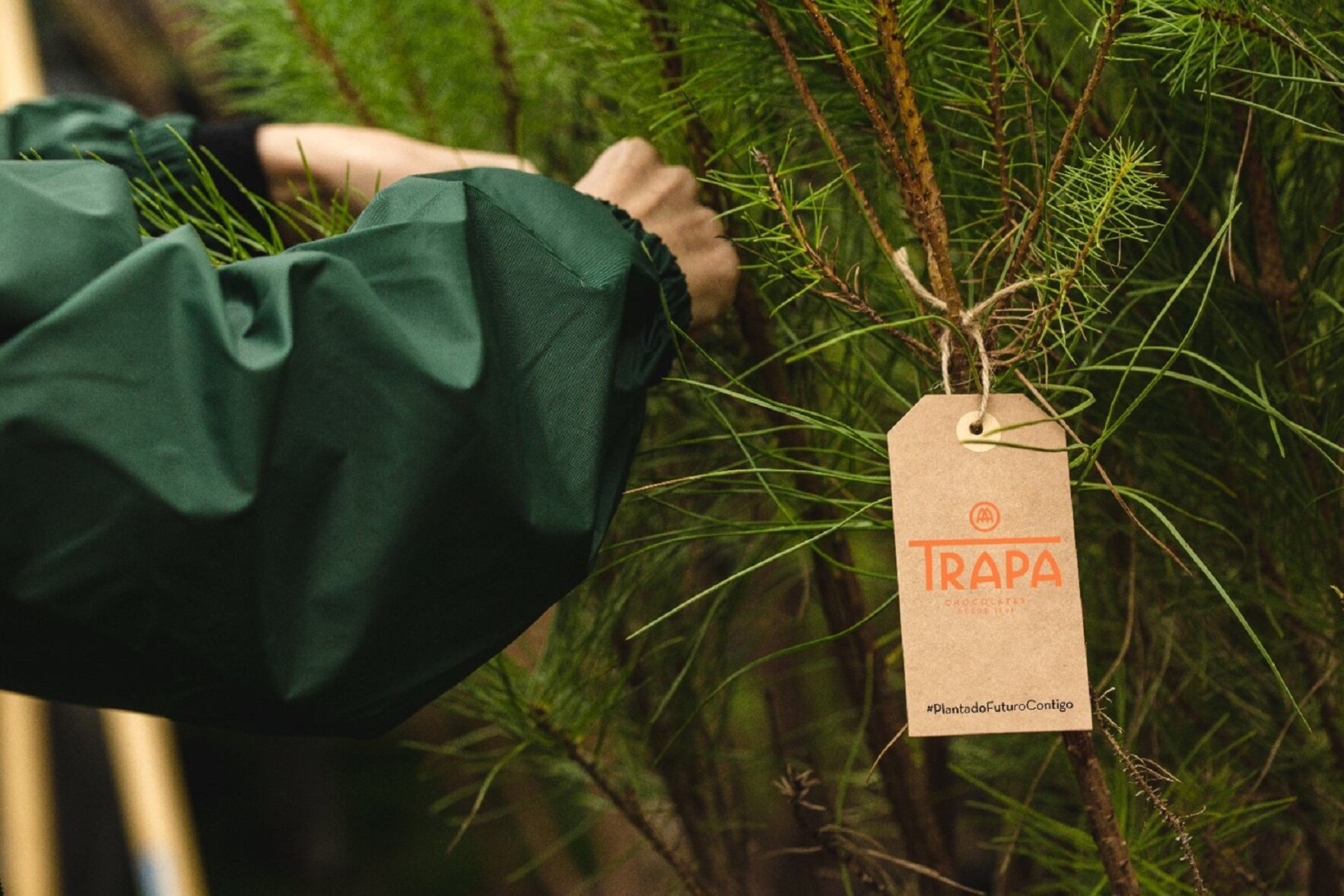 Nuevas plantaciones de Chocolates Trapa