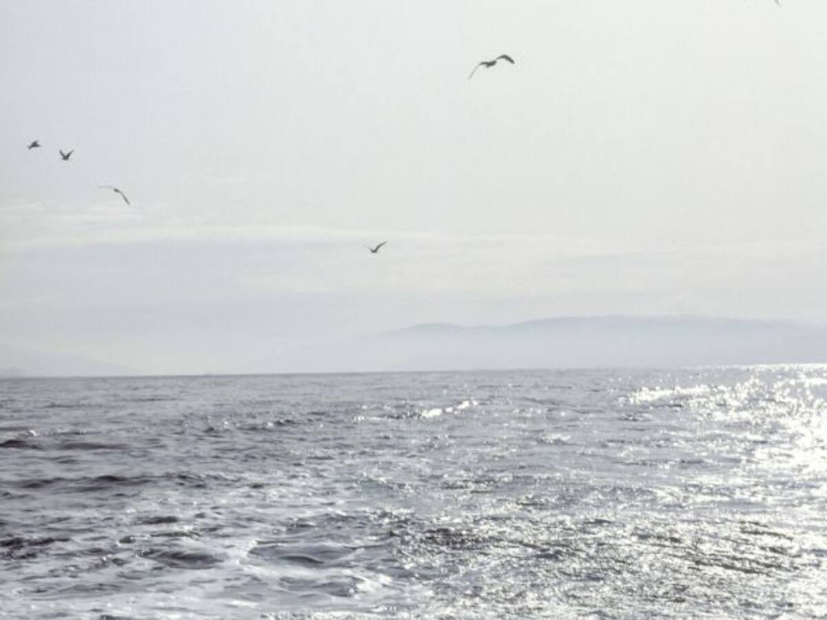Los trabajadores del mar continúan faenando limitando su actividad