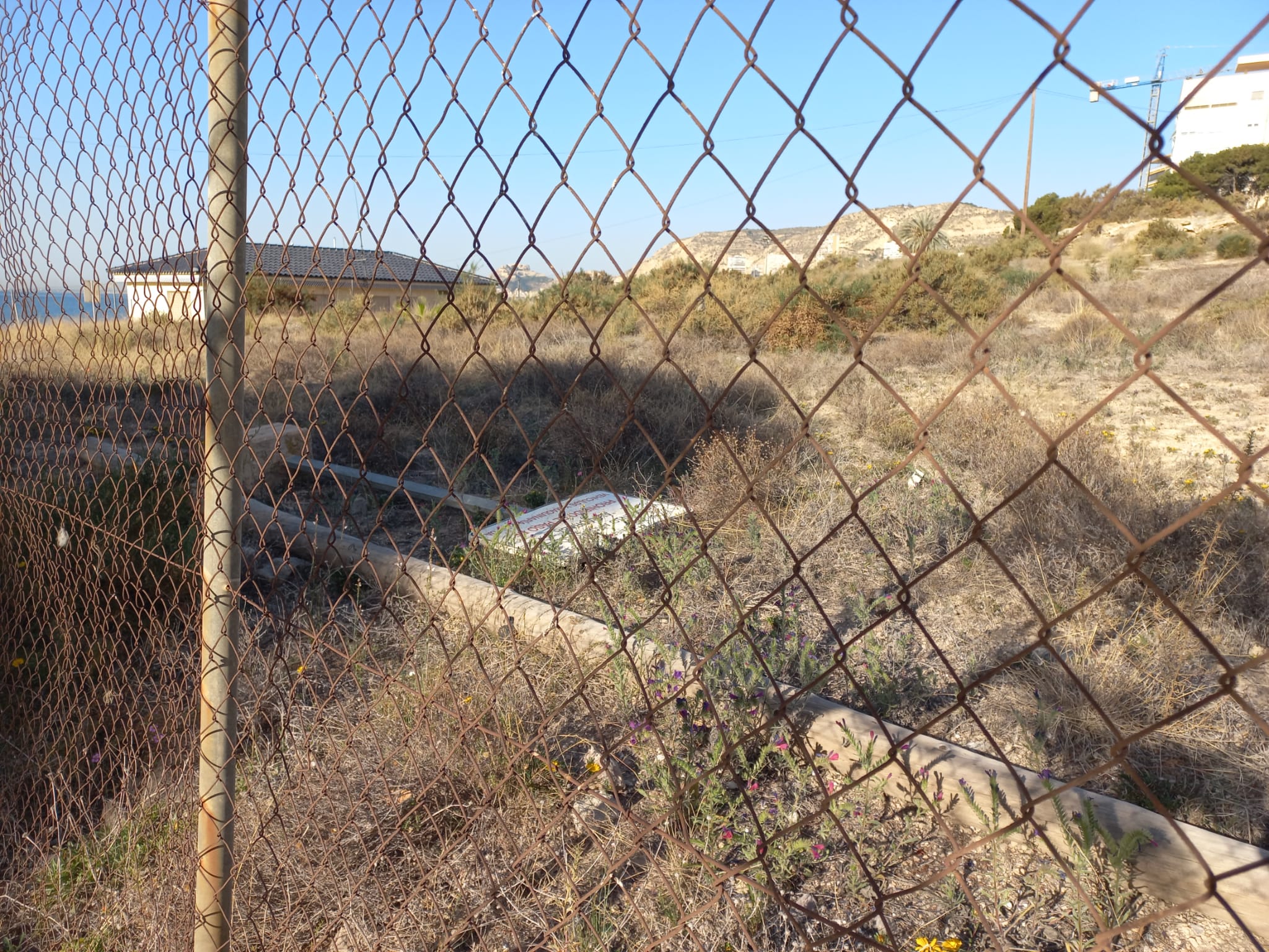 Cartel caído en el solar de la Almadraba vallado por ser un yacimiento arqueológico