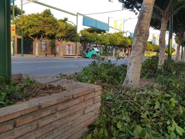 Los torillos se afanan en retirar los restos sobrantes del montaje