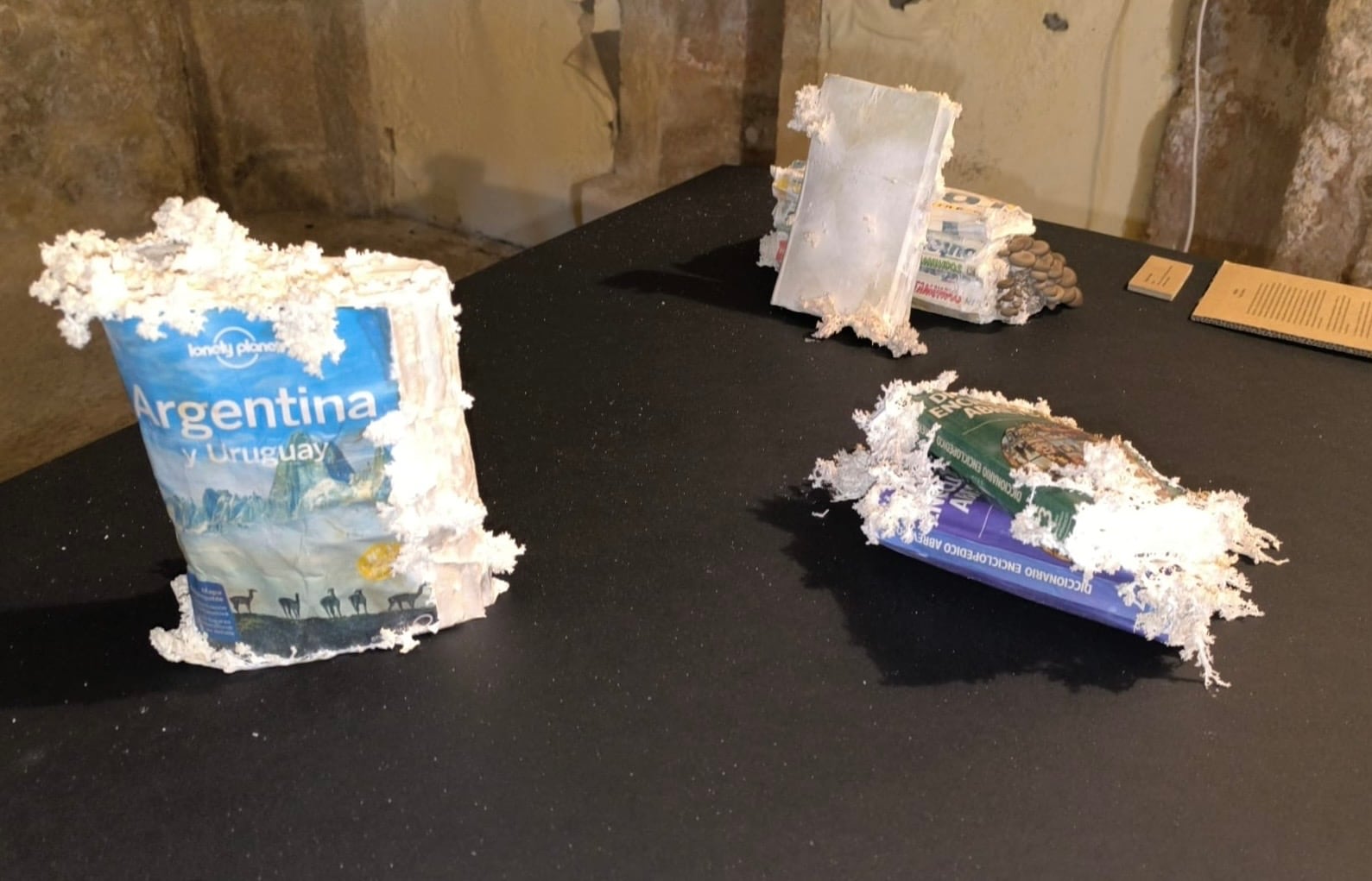 La obra es deliberadamente efímera. Las setas brotan, crecen y se secan. El libro queda destruido.